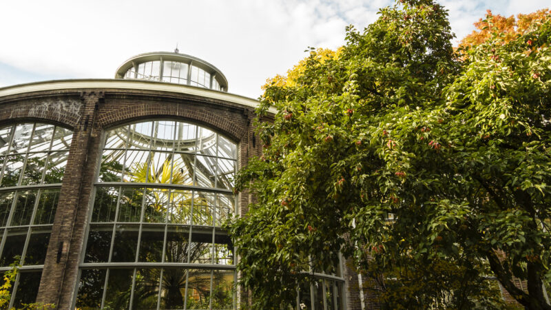 Plantage greenhouse in Amsterdam, autumn time