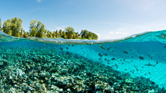 seychelles-coral-reef-view