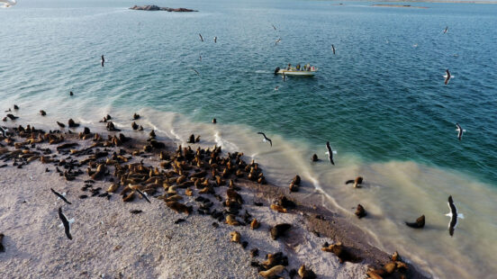 bahia-bustamante-argentina