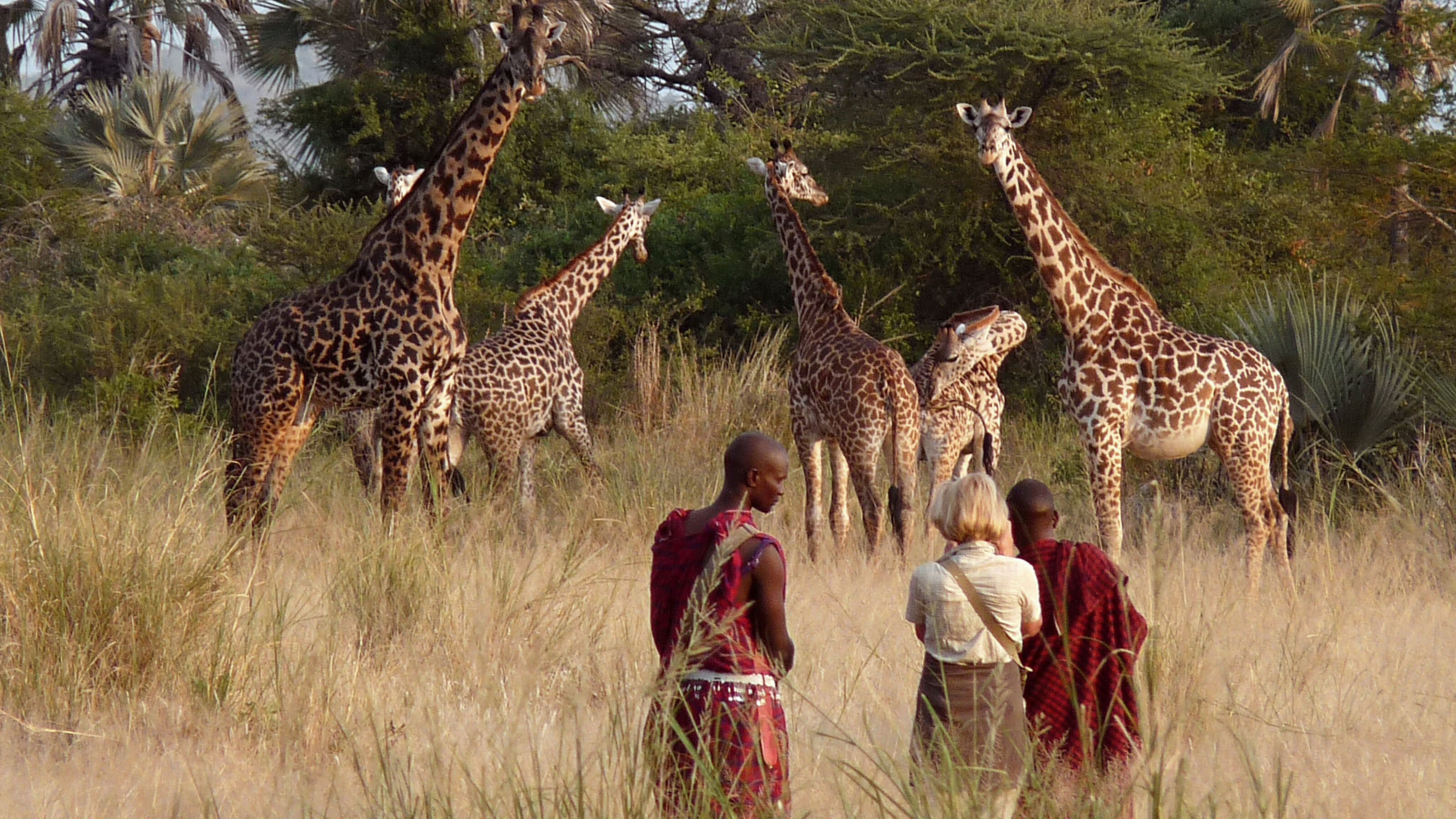 Awaken Your Senses in Tanzania and Rwanda