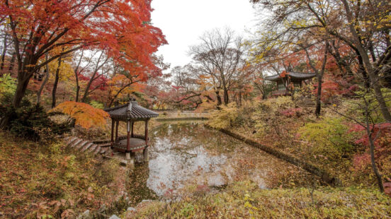 changdeokgung-palace-south-korea