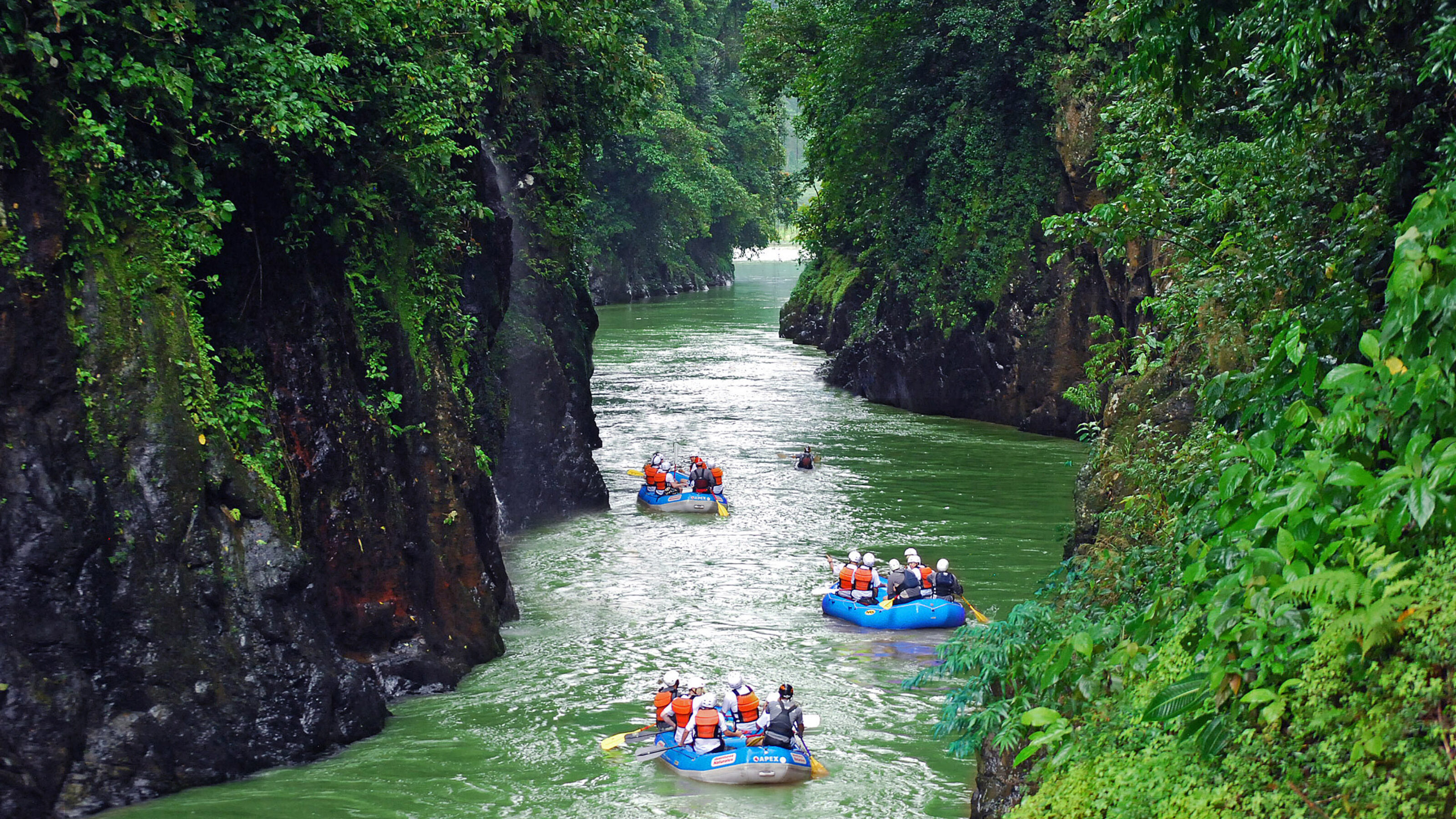 A Caribbean Wildlife Adventure in Costa Rica
