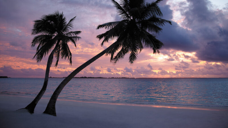 /Volumes/Final-3/CURRENT JOB 1/SHL Maldives/original/Process/._MG_2858.tif