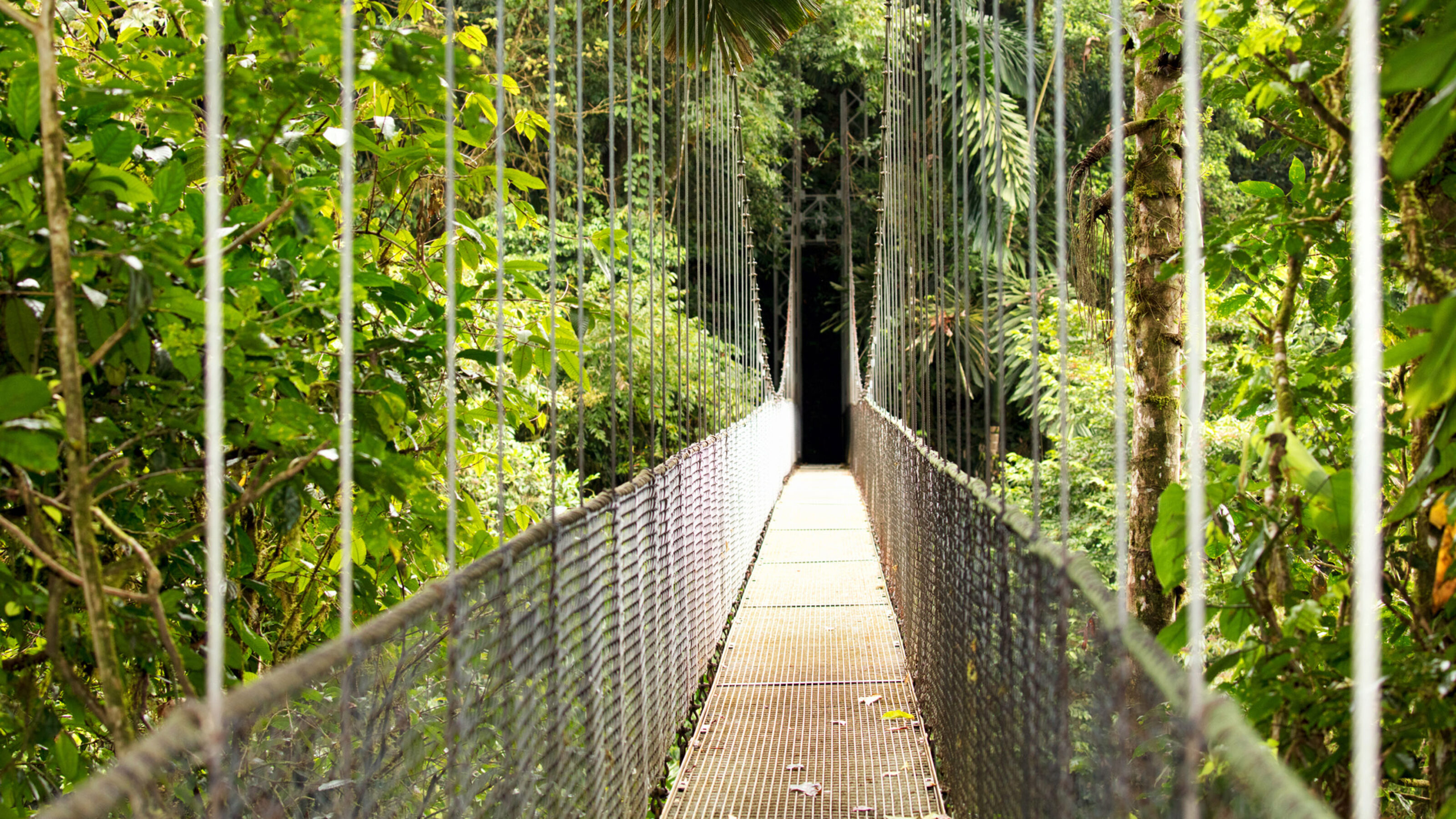 hanging-bridge-mistico-arenal-costa-rica