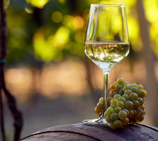 Croatian wines