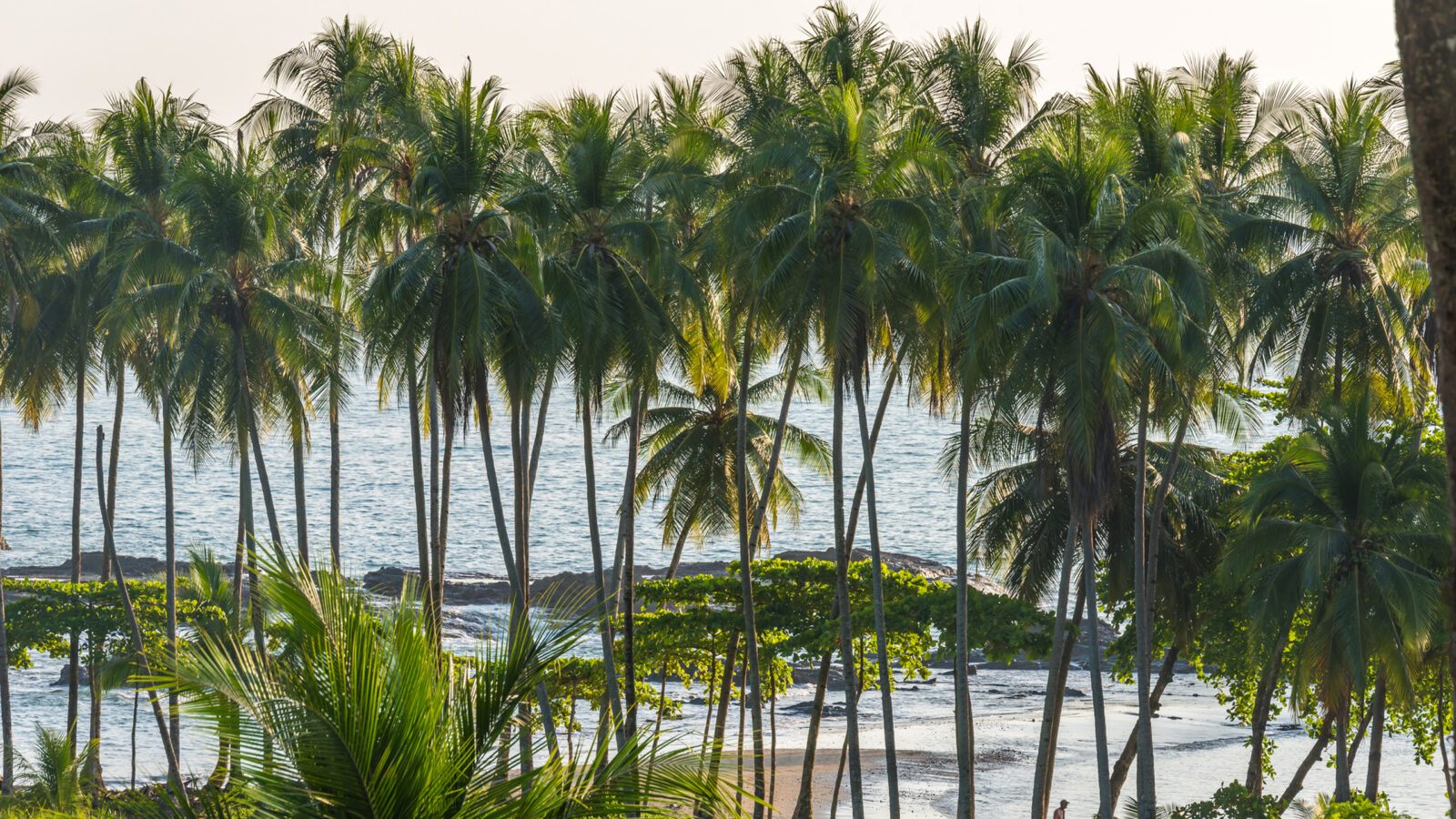 Playa Hermosa, Pacific Coast, Costa Rica.