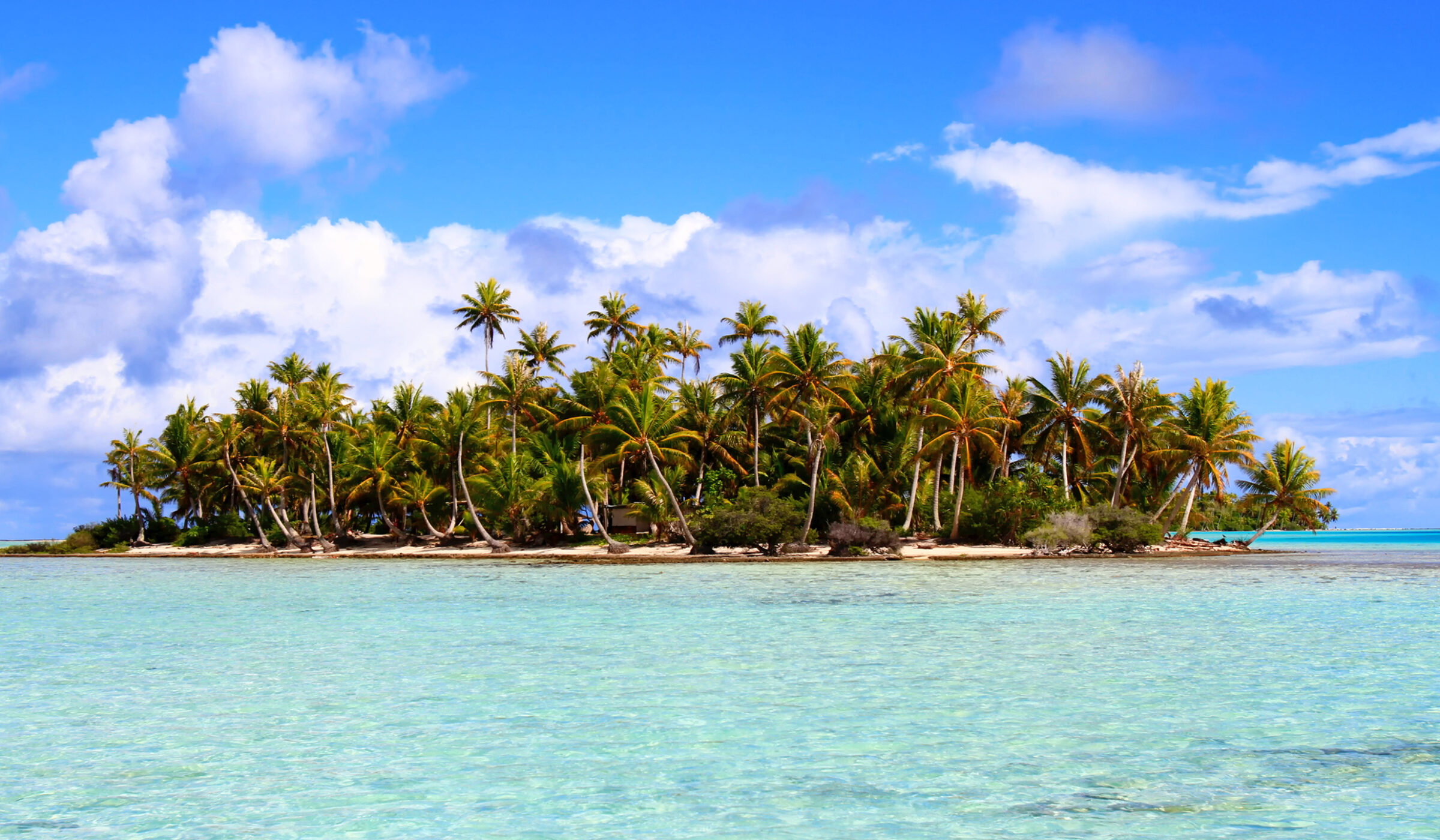 Tropical island with palm trees and white sand under a blue sky, ideal for luxury South Pacific holidays.