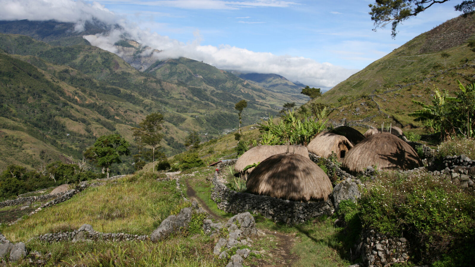 indigenous-tribe-papua-new-guinea
