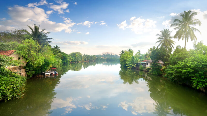 Houses on a river in the jungles of Sri Lanka.
