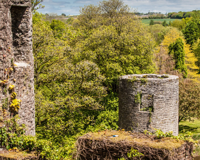 Private transfer to Kerry via Blarney Castle