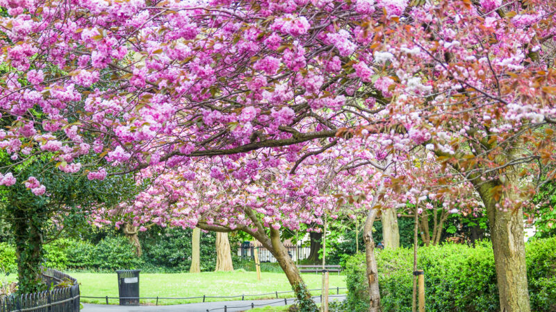 Saint Stephen’s Green park, Dublin