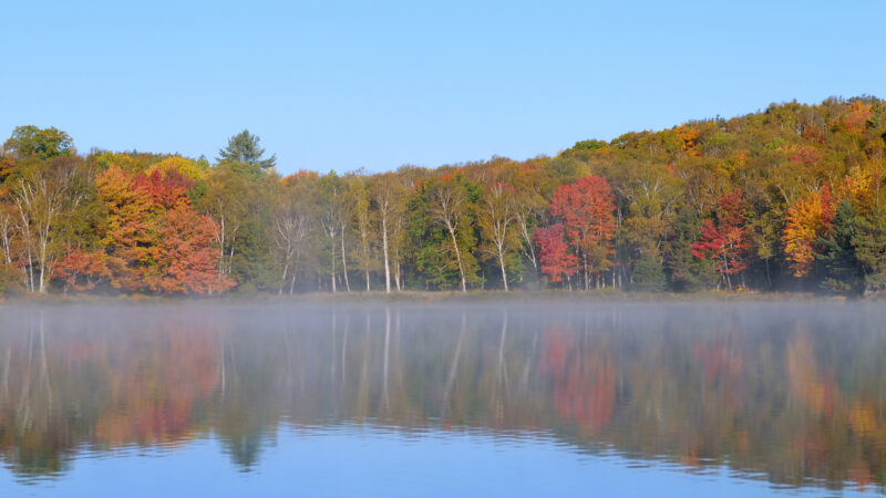Misty lake on an autumn day in Northern Ontario