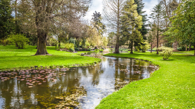 Botanical garden in Dublin