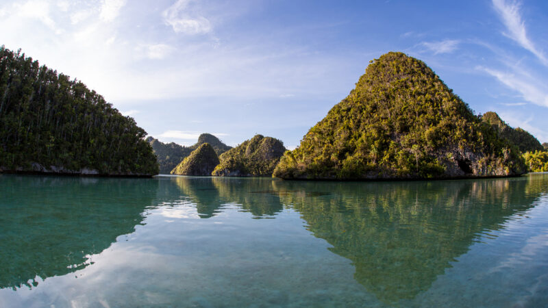 Limestone islands surround warm waters in Wayag, Raja Ampat, Indonesia. This remote, tropical region is known as the heart of the Coral Triangle due to its incredibly high marine biodiversity.
