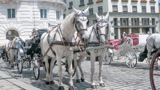 fiacre-horsedrawn-carriage-vienna-austria