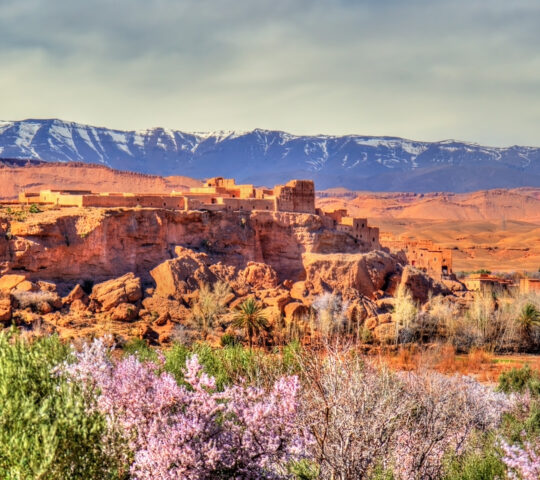 Rose Valley