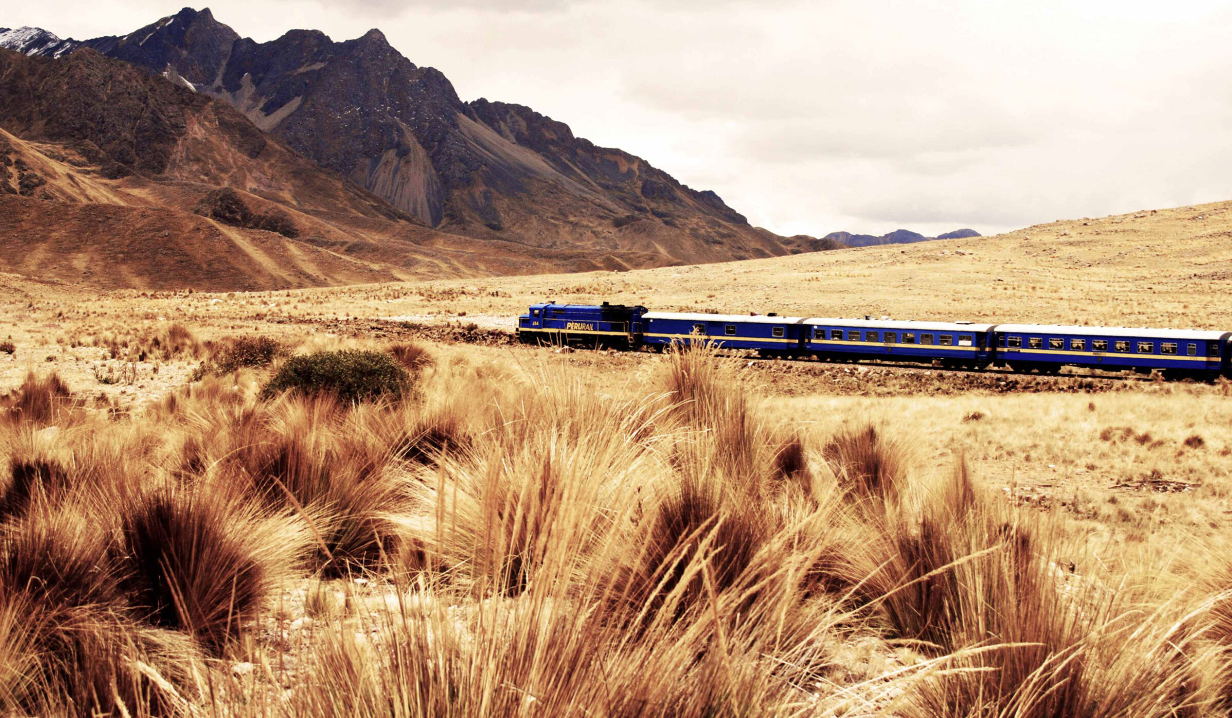 Andean Explorer train passing through the golden landscapes of Peru