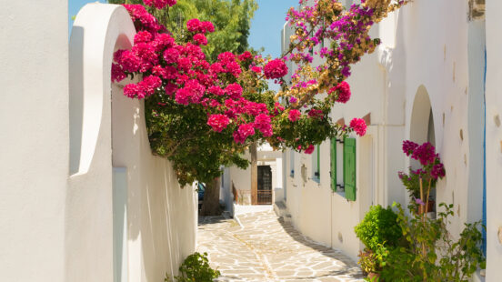 A narrow stone path between white buildings with bright pink bougainvillea flowers blooming overhead.