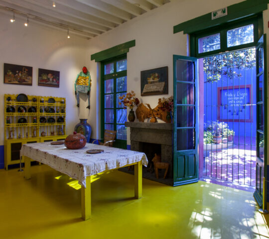 Visit the Frida Kahlo Museum