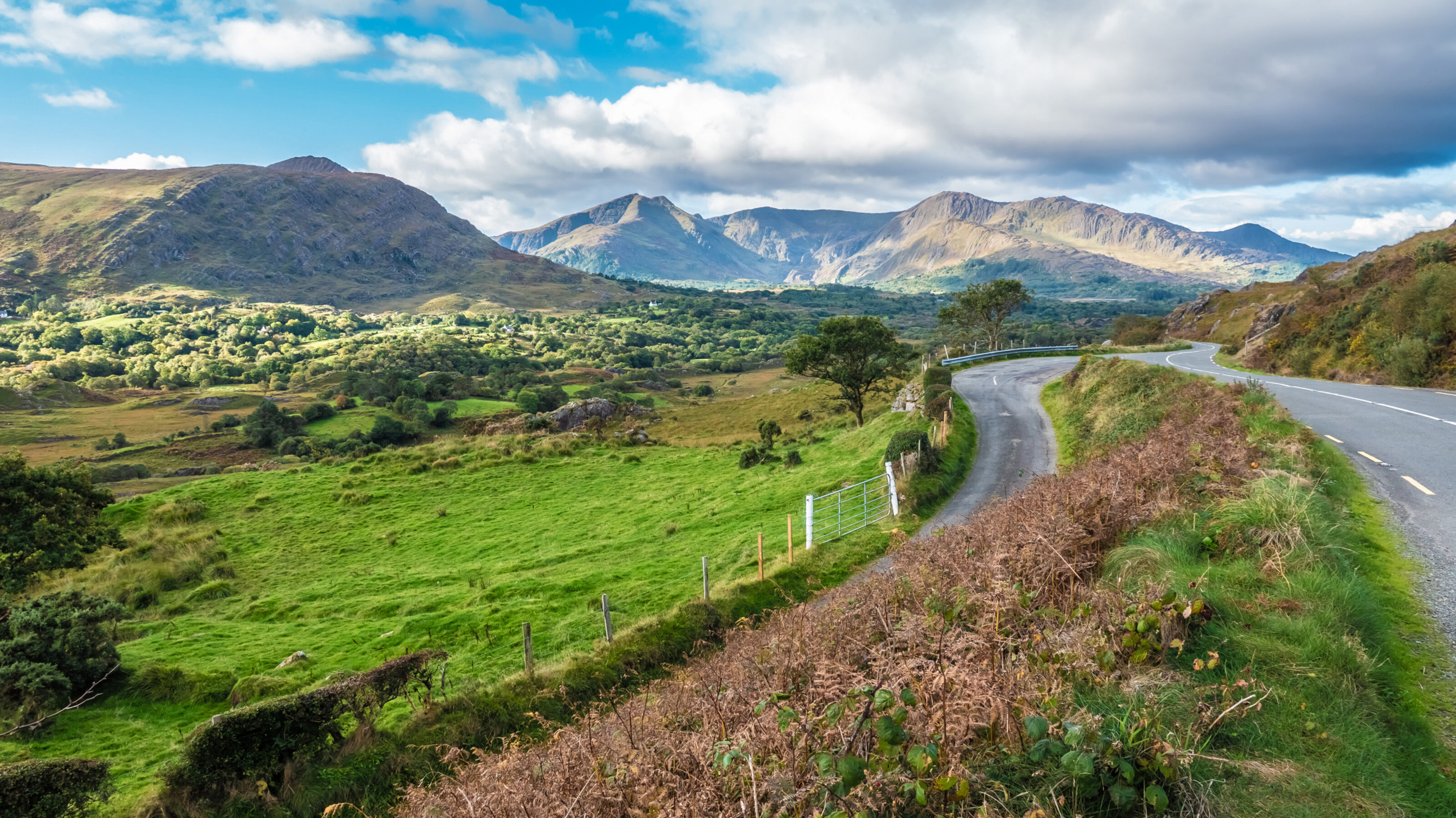 All-encompassing Ireland
