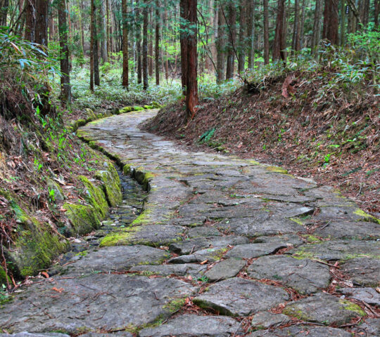 Follow part of Nakasendo Way