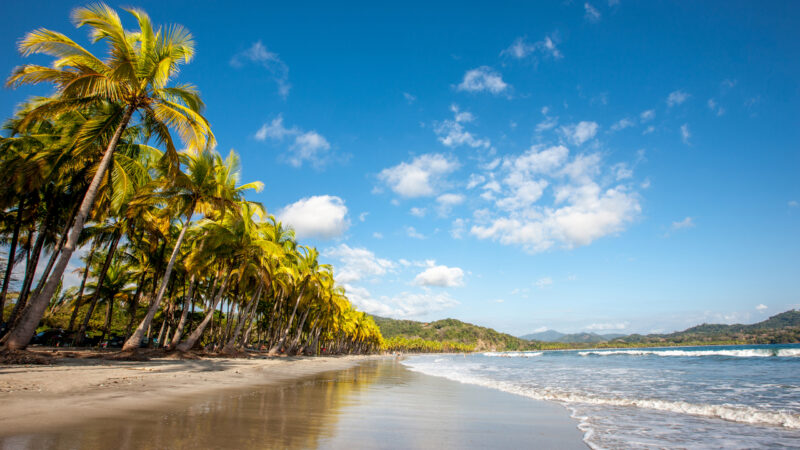 Beautiful natural tropical dream beach surrounded with palm trees under blue summer sky. Nicoya Peninsula, Costa Rica, Central America.