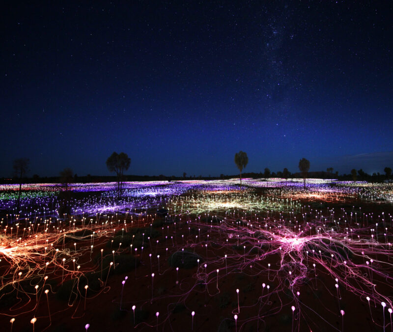 Thousands of glass stems light up the desert floor during Bruce Munro's Field of Light at Uluru.