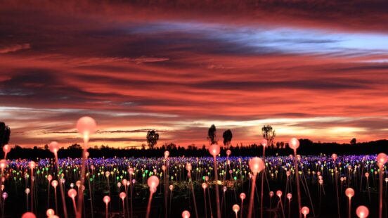 uluru-field-of-light