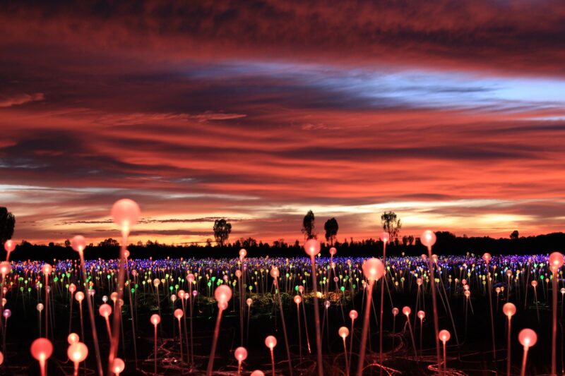 uluru-field-of-light