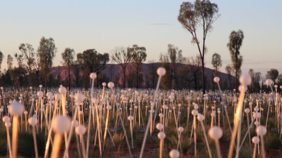 uluru-bruce-munro-field-of-light