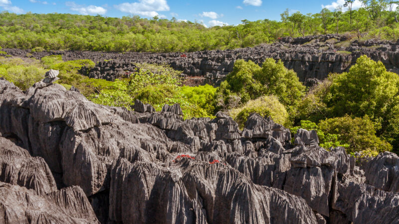 The Tsingy of Ankarana, northern Madagascar