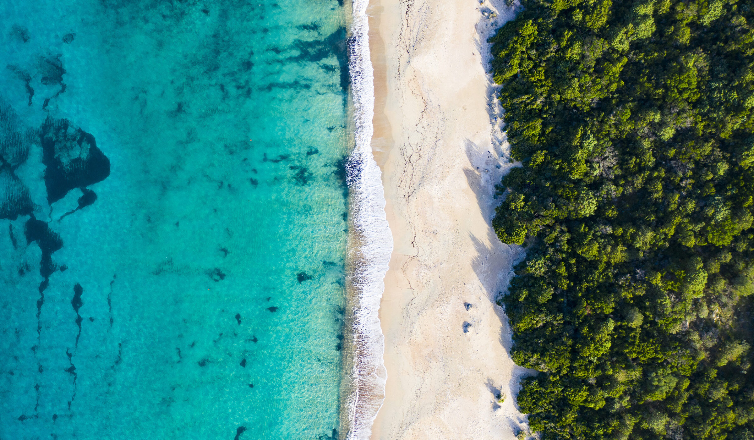 Aerial bird's-eye view of a white sand beach meeting clear blue water and dense green trees.