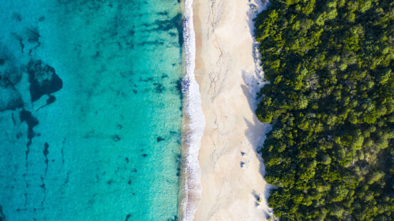 Aerial birdx27;s-eye view of a white sand beach meeting clear blue water and dense green trees.