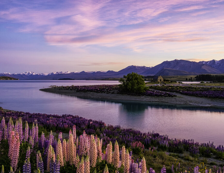 The Best of Australia and New Zealand