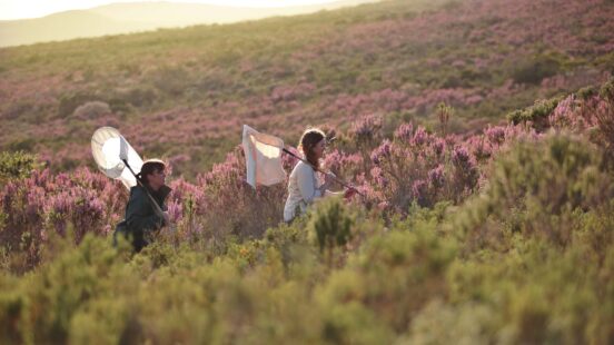 grootbos-conservation