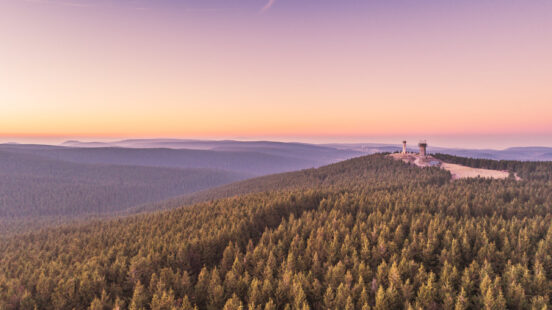 thirungian-forest-germany