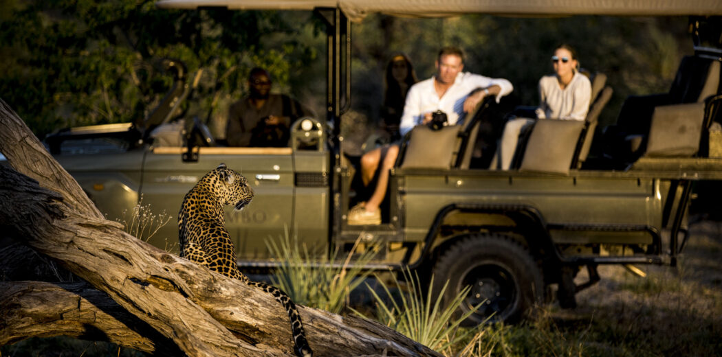 Family Safari Holidays in Botswana: Easy Travel from South Africa - Accommodation Choices for Families