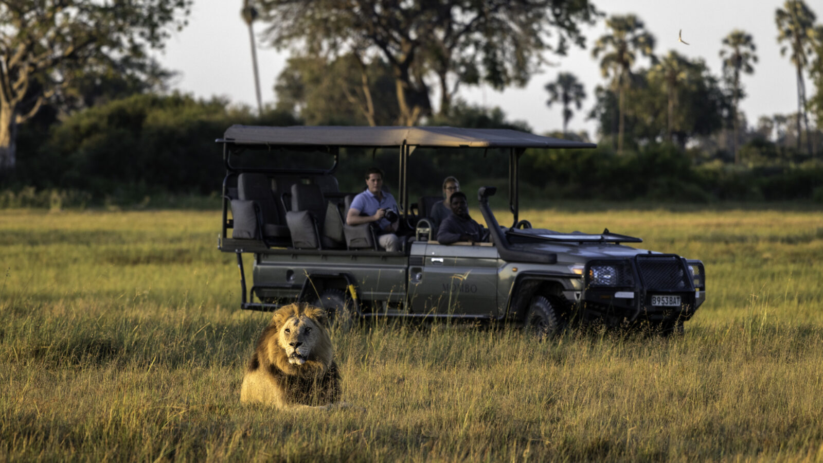 Game viewing on safari at Mombo