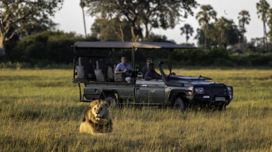 Game viewing on safari at Mombo