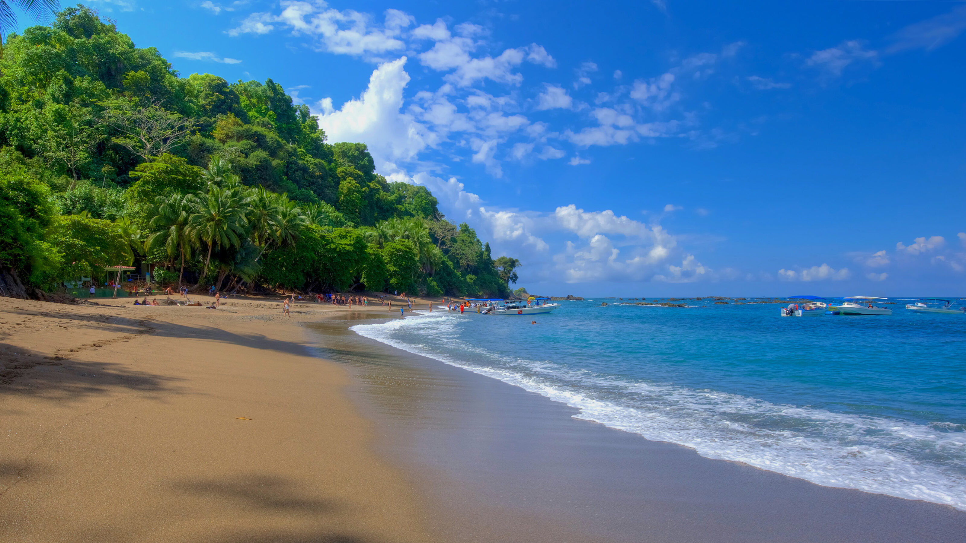 The Wonderful Wildlife of Costa Rica and Panama