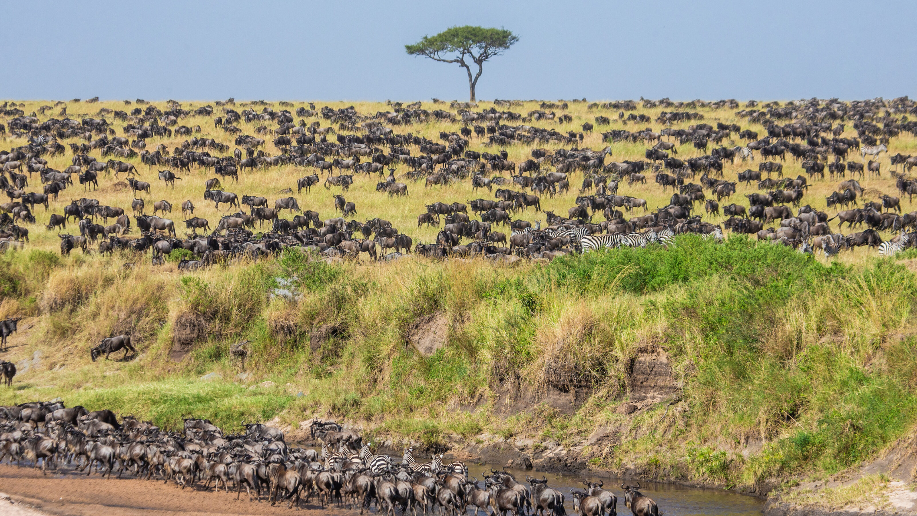 A Luxury Kenyan Safari and Seychelles Honeymoon