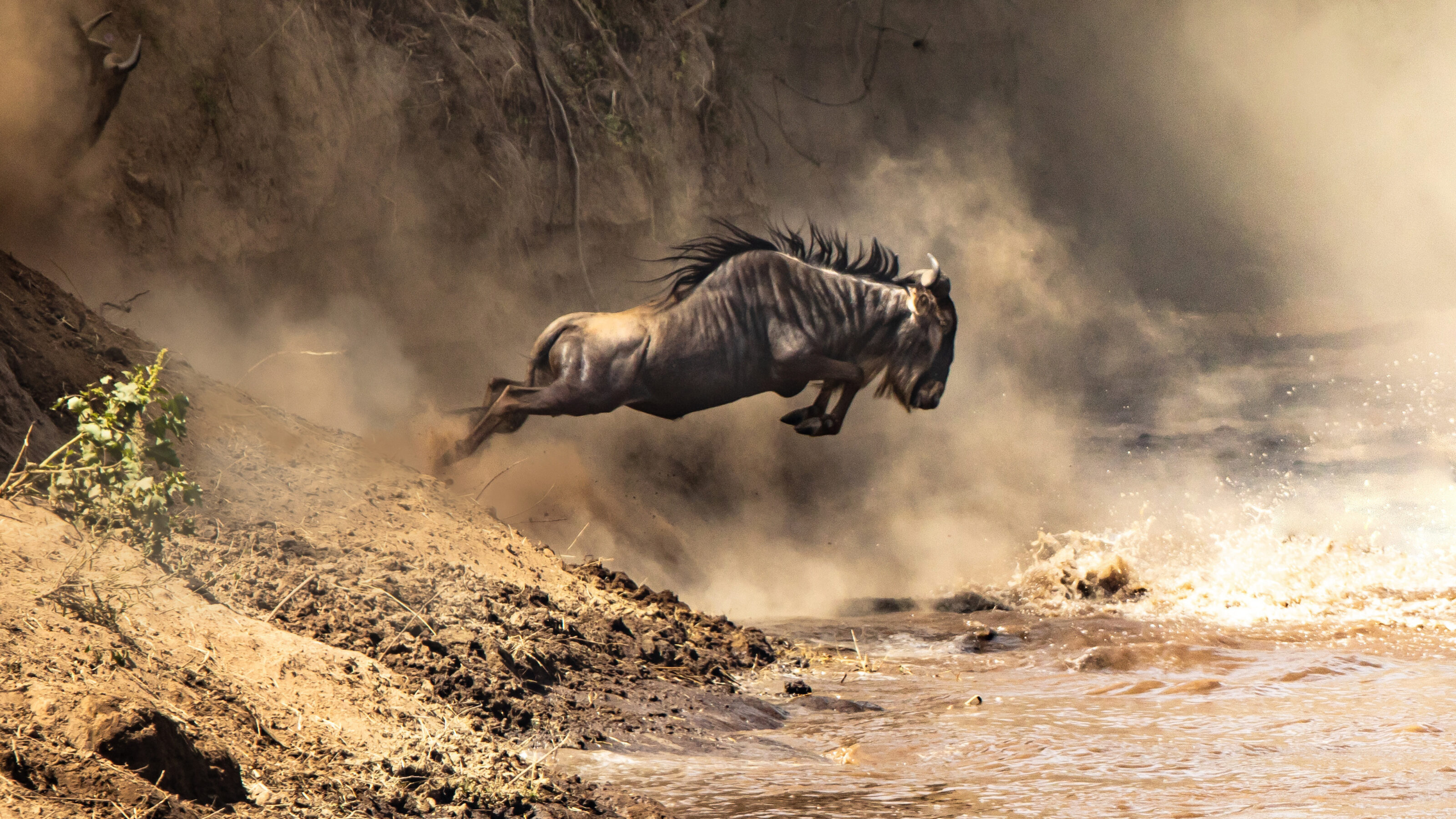Classic Tanzania Migration Safari