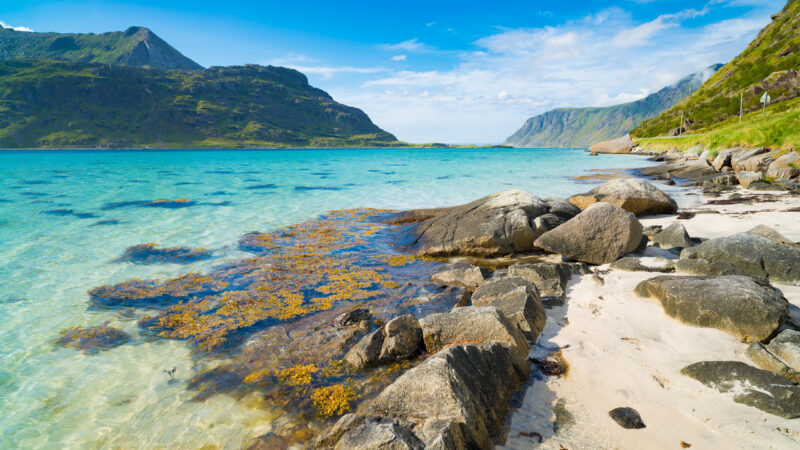 beautiful sand beach on the lofoten islands in Norway