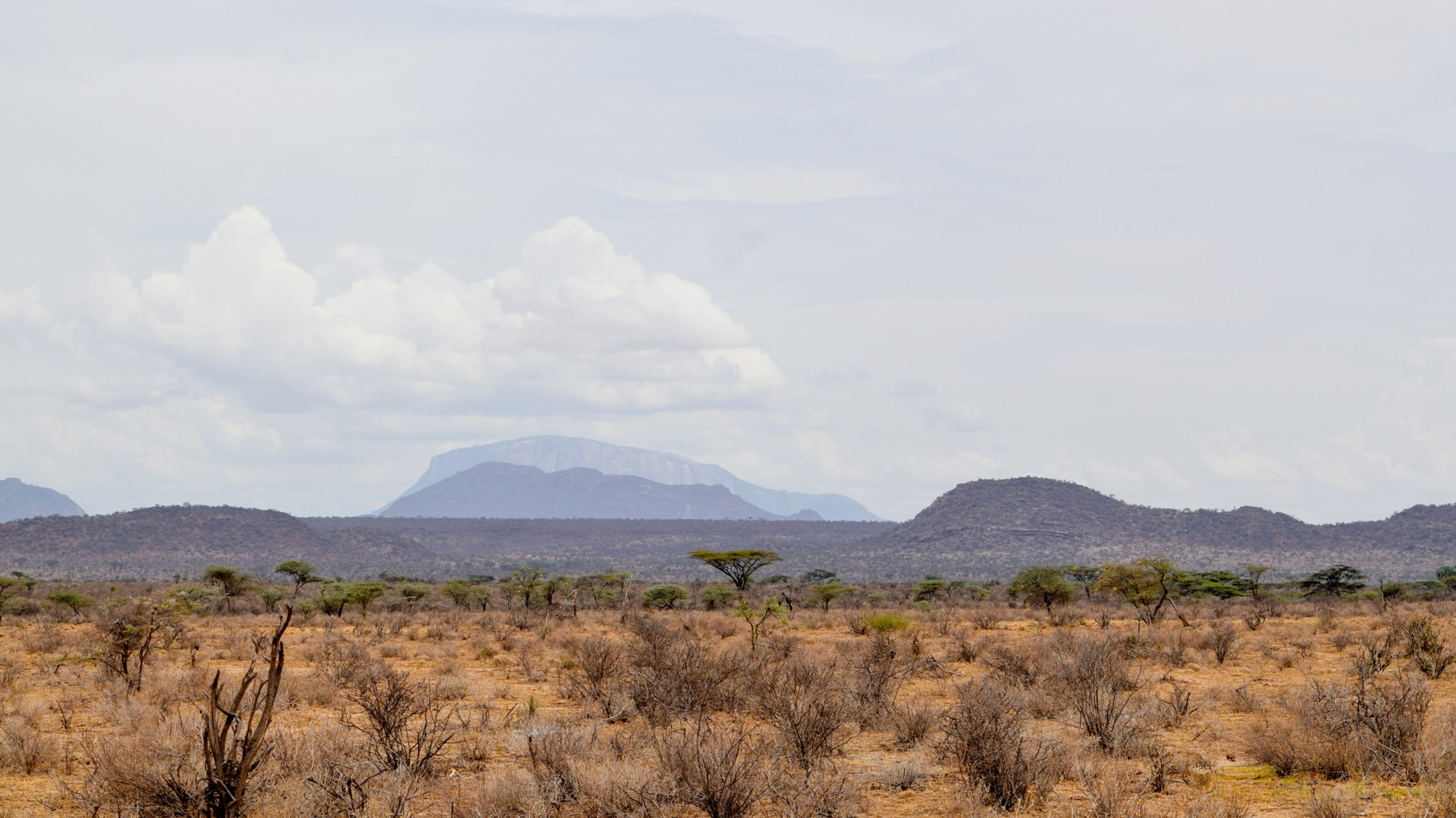 A Luxury Kenya Safari and Beach Honeymoon