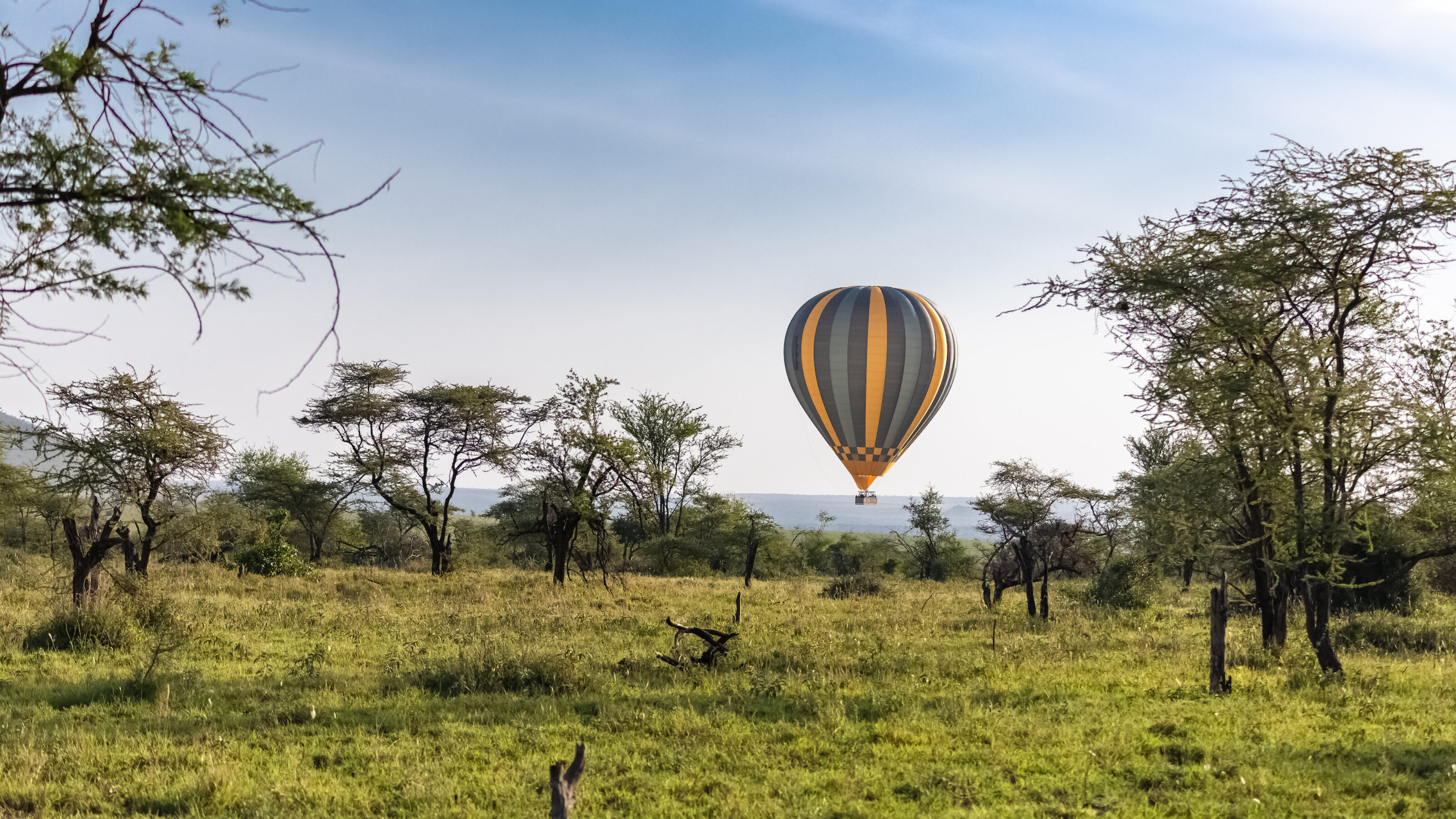 A Green Season Migration Safari