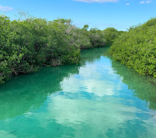 Beautiful waterways in the Sian Kaan Biosphere Reserve