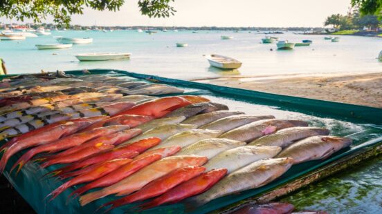 Rows of red and silver whole fish displayed on a table at an outdoor market by the ocean.