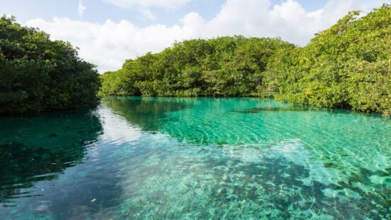 Clear turquoise water of a tropical lagoon surrounded by dense green mangrove trees under a partly cloudy sky.