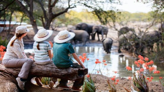 A family sit on a log watching a herd of elephants congregating at a waterhole on African Safari