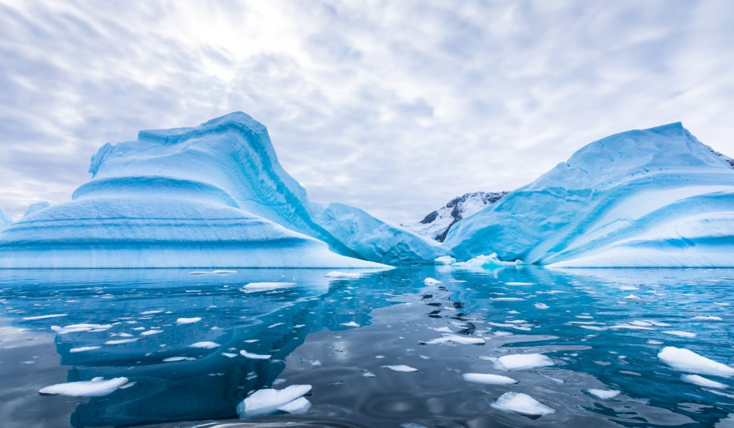 Antarctic expedition cruises